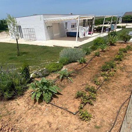 White House En Enguera - Fantastica Casa Con Jacuzzi Piscina Y Barbacoa Apartment Ngoại thất bức ảnh